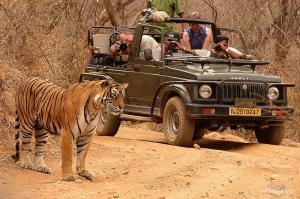 India Tour packages