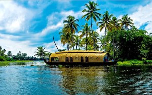 Kerala Black Water Tours